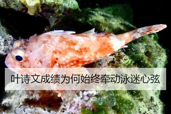ye-shi-wen-cheng-ji-wei-he-shi-zhong-qian-dong-yong-mi-xin-xian-2-725.jpg